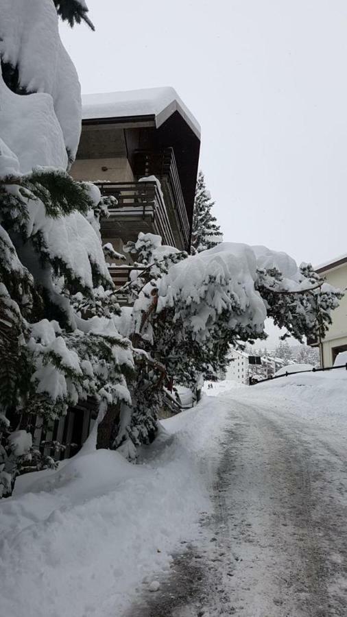The Closest Location To The City Center And Chairlift Oulx Екстериор снимка